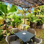 Ile Tropical Lodges