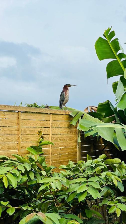 Vakantiehuis Ile Tropical Sainte-Anne (Grande-Terre)